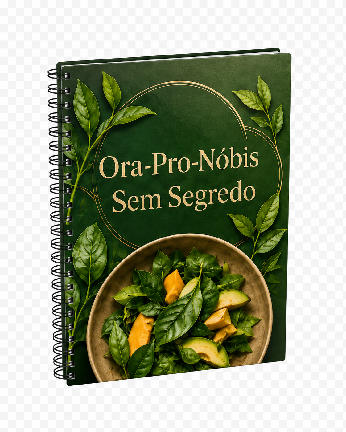 Ora-Pro-Nóbis Sem Segredo
